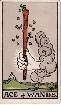 Ace of Wands tarot card from the classic deck, illustrated by Pamela Colman Smith in 1909