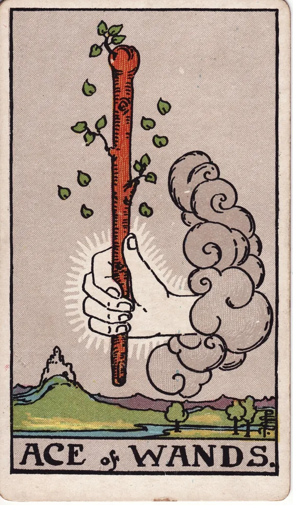 Ace of Wands tarot card from the classic deck, illustrated by Pamela Colman Smith in 1909
