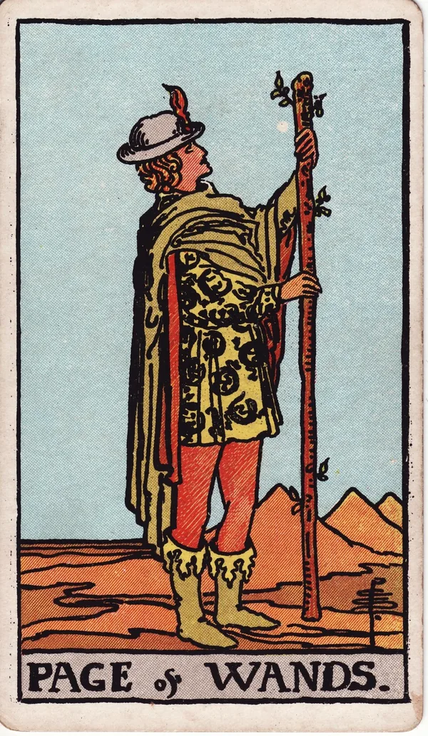 Page of Wands tarot card from the classic deck, illustrated by Pamela Colman Smith in 1909